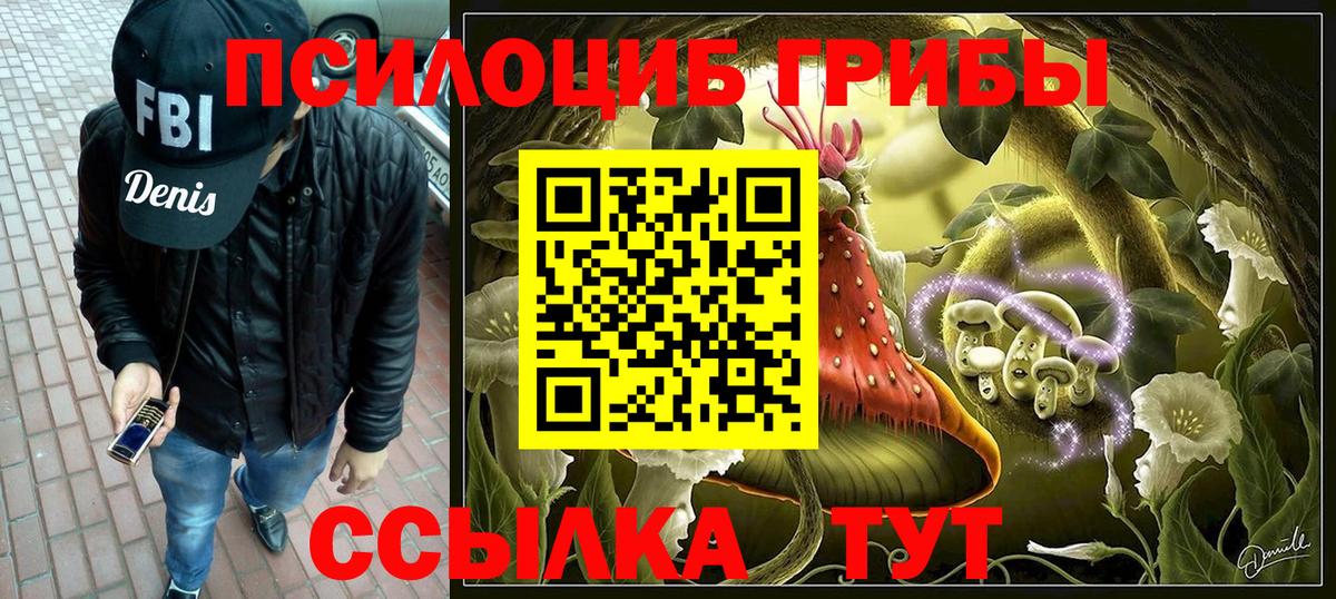Псилоцибиновые грибы Psilocybe Бирск