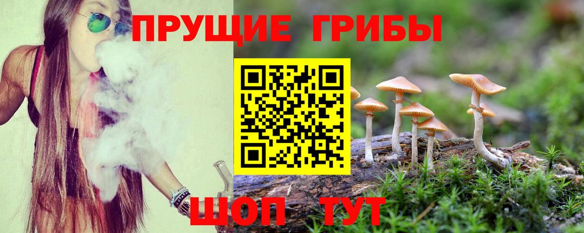 Бирск  закладка  Вход с VPN  Псилоцибиновые грибы MAGIC MUSHROOMS 